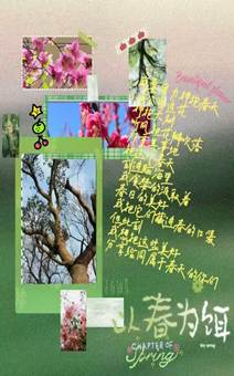 56864a78ff74e8a55cd789cd642b2757