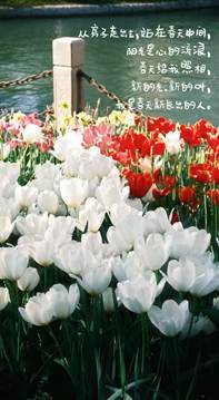 83b3e2b8428789179fa058a788dccf7e